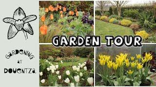 April Garden Tour || Tulips, Compost Project & Result of Peony Move