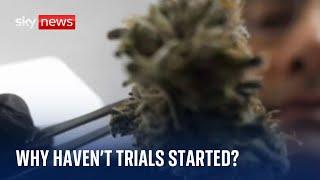 Still no medical cannabis trials for NHS - five years on from legalisation