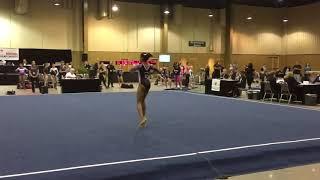 NYLA E. Smith -2016 Level 9 Regionals - Region 8- FX