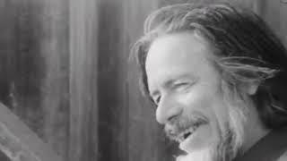 Alan Watts - The Dream of Life (No Music)