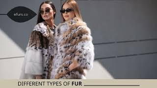 Types of Fur Coats: How to Identify Real Fur Coats