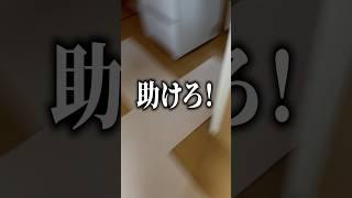 下の階からすごい音がして「助けろ！」って聞こえた….