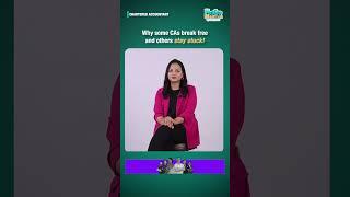 Why Most CAs Stay Broke (Even After Passing the Exam)