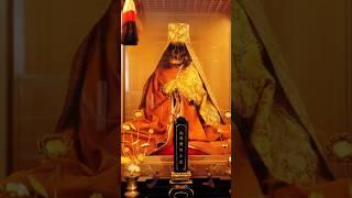 Sokushinbutsu: The Monks Who Mummified Themselves ALIVE! #youtubeshorts #shorts #youtube