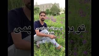 شعر و دکلمه داکتر ناصر نجات  Naser Nejat عاشقانه _LOVE