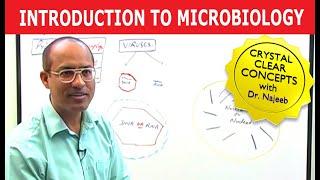 Introduction to Microbiology