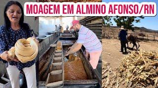 MOAGEM EM ALMINO AFONSO/RN, TEM UM CAIXÃO COM 70 MIL RAPADURAS, A MAIOR PRODUÇÃO DA REGIÃO OESTE.