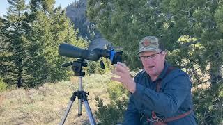 Digiscoping tips and tricks