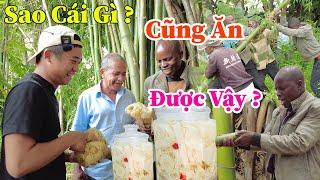 Công Giáp || Sao Người Việt Nam Thấy Gì Cũng Làm Được Món Ăn ??? Ở Đây Chúng Tôi Chưa Từng Ăn ???