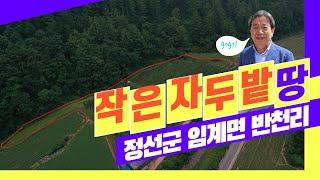 [정선임계부동산 매물] 강원도 정선군 임계면 반천리/ 전 468평 / 매매가5,148만원