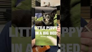 Little Puppy in a Big Bed - Acoustic Version (Puppy Songs)