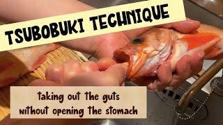 Tsubobuki Technique~taking out the guts without opening the stomach~