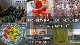 Прогулка в парке Кёльна●мамина рассада●полезный завтракГРЕНКИ С КОРИЦЕЙ В АЭРОГРИЛЕ●сезоноткрыт