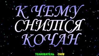 ТОЛКОВАТЕЛЬ СНОВ  ~ КОЧАН КАПУСТЫ ВИДЕТЬ ВО СНЕ, К ЧЕМУ СНИТСЯ.