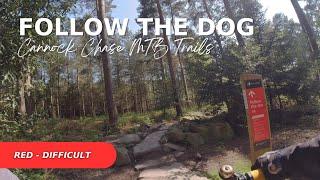 Cannock Chase MTB Trails - Follow the Dog - Difficult Red Trail