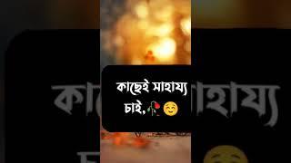 ইসল ম ক ছ ট ভ ড ও ইসল ম ক স ট য ট স islamic gojol islamic waz islamic ভ ড ও