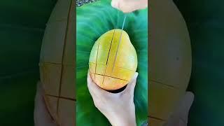#gojol #tiktok #islamicstatus #islamic #shorts #vairal #trending সুবহানাল্লাহ,,,,,
