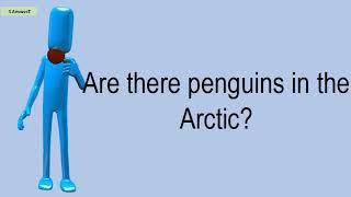 Are There Penguins In The Arctic?