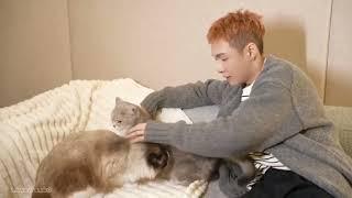 [Eng] Lay Zhang Birthday with his Cats (Lulu, Luobo, Laosan, Rookie)