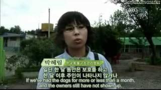 [EngSub] Super Junior ANIMAL FARM Episode 1