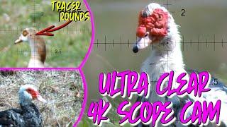 EXOTIC Waterfowl Hunting in Florida | My BEST, CLEAREST, 4K Scope Cam Videos Ever