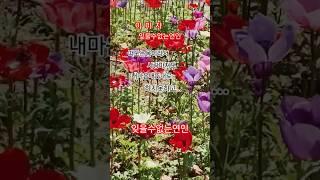 #이미자잊을수없는연인#잊을수없는연인#
