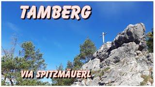 Tamberg  I  gemütlich auf den Hausberg des Pfarrers