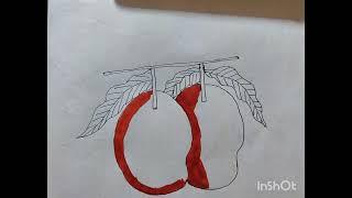 Easy and Beautiful Mango  Fruits Drawing #viralvideo #art #drawing #roji art gallery
