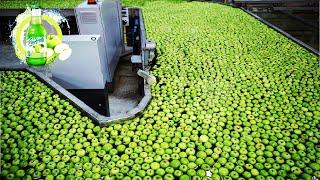 How Fruit Juice is Made in Factory - Papaya, Pomegranate, Apple, Lime Juice Production Line 