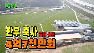 구미 한우 축사 급매로 처분합니다. 태양광 200kw 가능. 매매 4억7천만원[매물 1580]