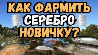 КАК ФАРМИТЬ СЕРЕБРО НОВИЧКУ В РР4? ● Русская Рыбалка 4 | РР4