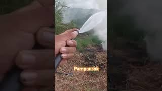 Pampausok #farming #agriculture #farmer #smoke #reels #shorts