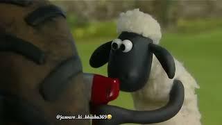 New tractor  | animal’s funny videos | funny cartoon videos #funny #viralvideo #youtube