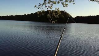 Blydenburgh Bass Fishing Long Island NY (Carp in blydenburgh?)