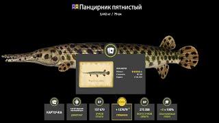 ЗА ТРОФЕЙНЫМ УСАЧОМ на АХТУБУ, ЗА ЛОСЁМ на АРХИП и ЯМА ПРИБЫЛЬ ДЕНЬГИ СТРИМ РУССКАЯ РЫБАЛКА 4 РР4