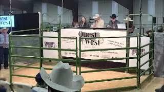 17th Annual Quest of the West Cattle Sale 3-12-2022 Broadcast on LiveAuctions.TV