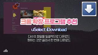 [크롬 확장 프로그램 추천] 다수의 파일을 일괄적으로 다운로드하는 uSelect iDownload 완전 편해요