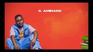Danny Lesson - Aminado (Official Lyric Video)