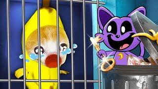 Banana Cat's Prison Break: A Hilarious Cat Nap Rescue!  Banana Cat Compilation | Happy Cat MEME 