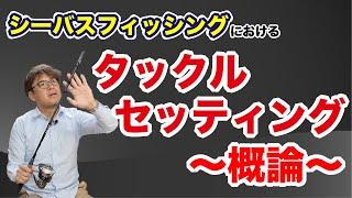 シーバス釣りのタックルセッティング概論