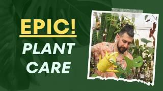  Plant Care Extravaganza: Watering, Repotting, and Pest Control!