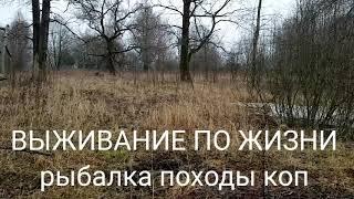 ВЫЖИВАНИЕ ПО ЖИЗНИ.  Приветствие.