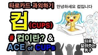 컵이란? ACE of CUPSㅣ마이너카드, 타로카드 배우기, 독학
