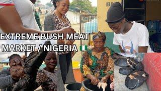 Nigeria's WILD ANIMAL Market || Extreme busmeat