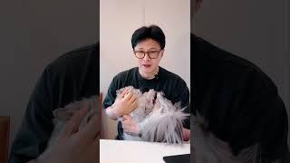 뚱땡이는  보셨으니까요ㅋㅋㅋㅋ  #탄아 #양이 #후니 #한동훈라방