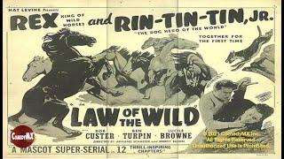 Law of the Wild (1934) | Complete Serial - All 12 Chapters | Rin Tin Tin Jr.