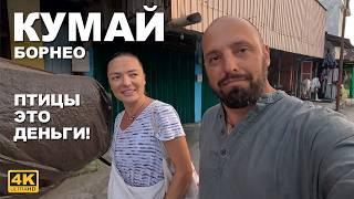 КАПИТАН ГЕРМАН I ГОРОД КУМАЙ НА БОРНЕО. Маленький городок с большой загадкой. Зачем тут эти здания?