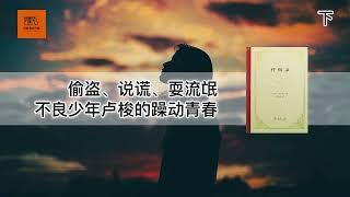 《忏悔录》下 |偷盗、说谎、耍流氓，不良少年卢梭的躁动青春【youtube字幕】| 好书精读推荐，见识决定格局，读书改变命运