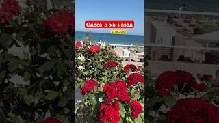 Що відбувається на пляжах ОДЕСИ 