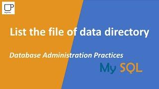 List the file of data directory - MySQL Database Administration Practices